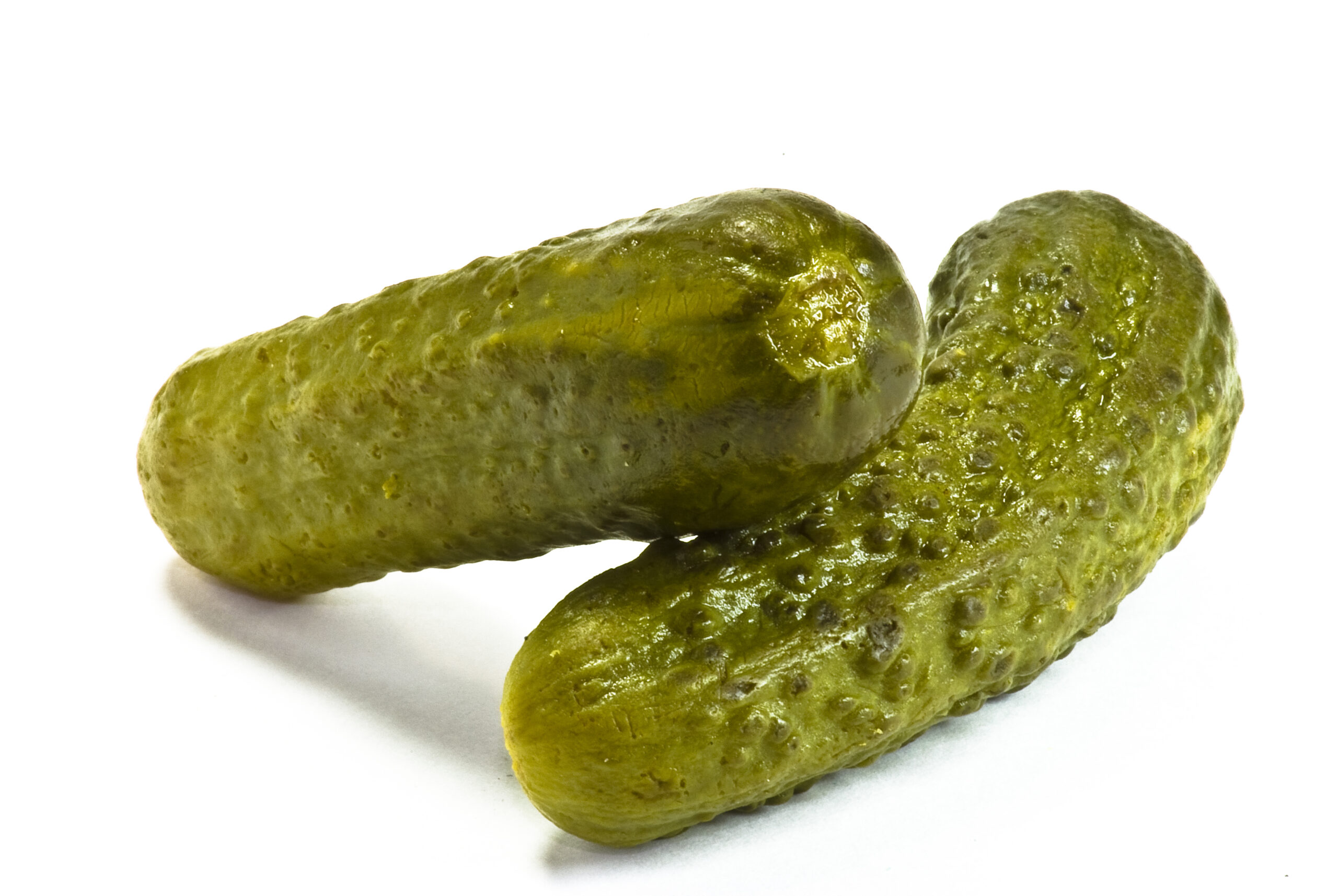 Midget sweet pickle gherkin