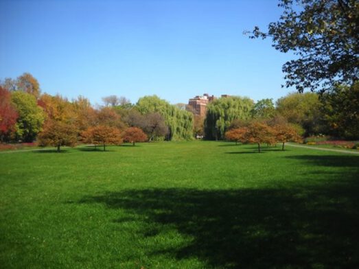 Welcome to Douglas Park, Chicago