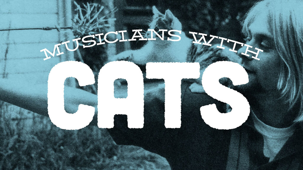 Musicians With Cats