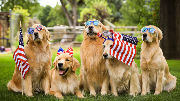 PATRIOTIC PETS