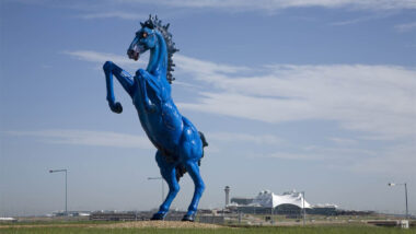 Do NOT Sign This Petition. Long Live Blue Mustang.