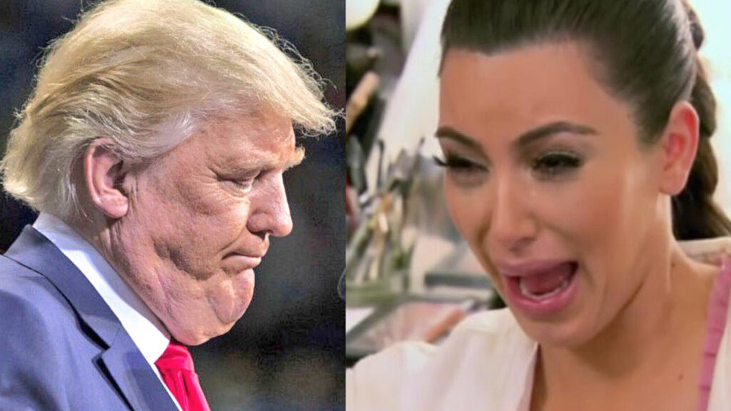 Kim Kardashian and Donald Trump Were Popular Porn Searches In 2016