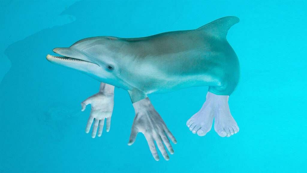 If Dolphins Had Thumbs, They Would Probably Destroy Us All, Says Science