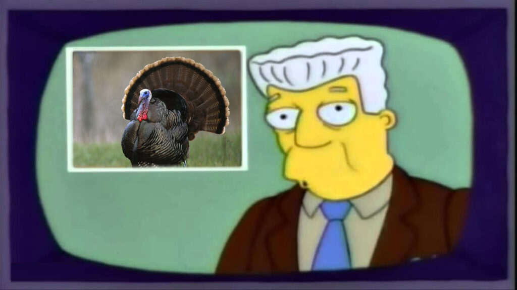 I, For One, Welcome Our New Aggressive Wild Turkey Overlords