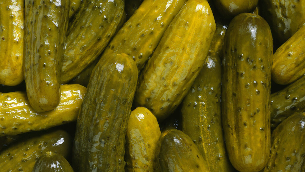 Happy National Pickle Day
