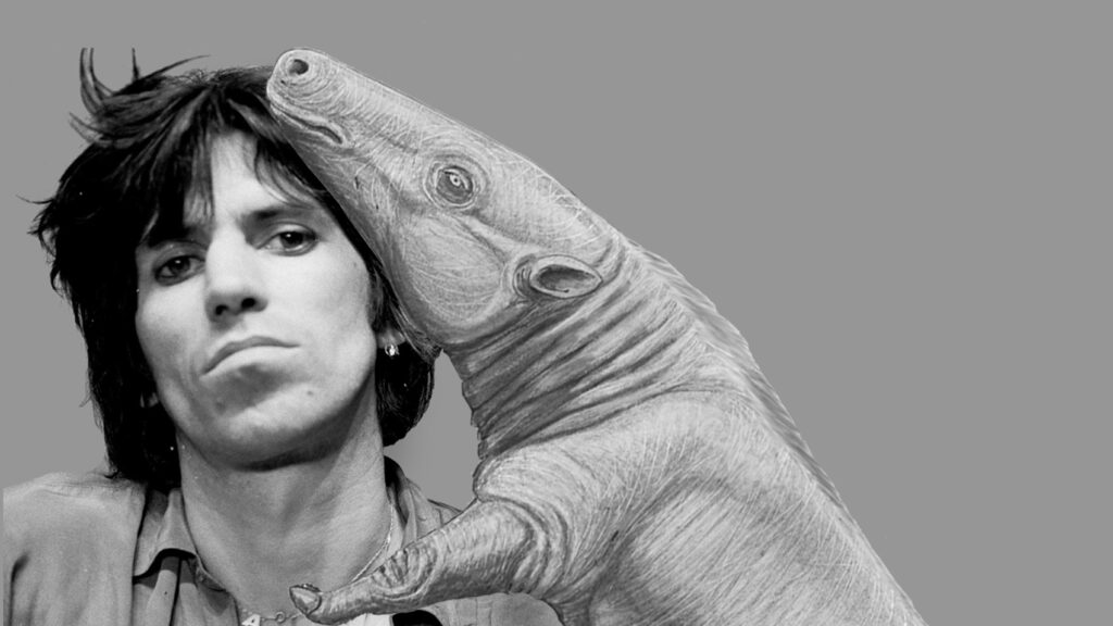 Mick Jagger as a Saggy-Lipped Hippo: 13 Creatures Named After Rock Stars