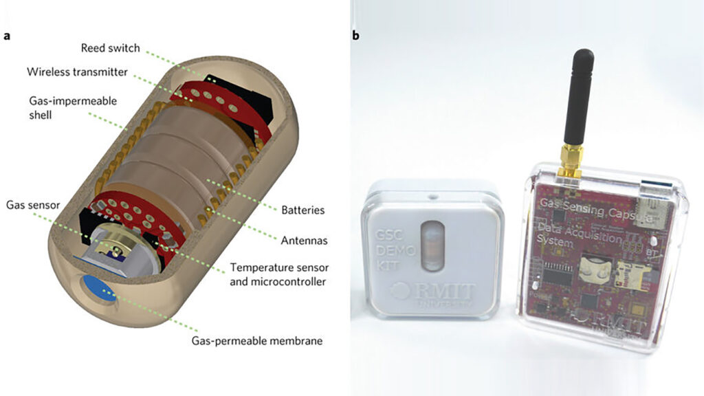 Scientists Invent An Ingestible Electronic Pill That Can Track Your Farts