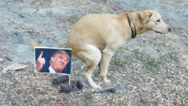 Someone’s putting photos of Donald Trump in dog poop