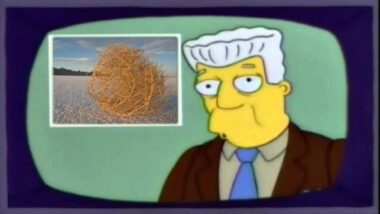 I, For One, Welcome Our New Tumbleweed Overlords