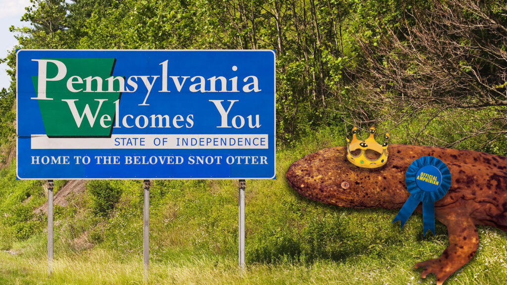 The “Snot Otter,” Pennsylvania’s New State Amphibian, is a Hero For Our Changing Times