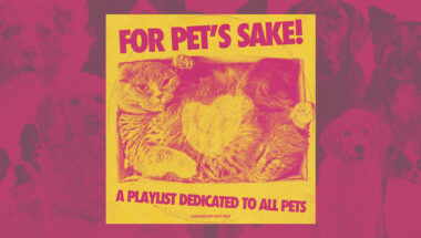 For Pet's Sake! A playlist dedicated to all pets