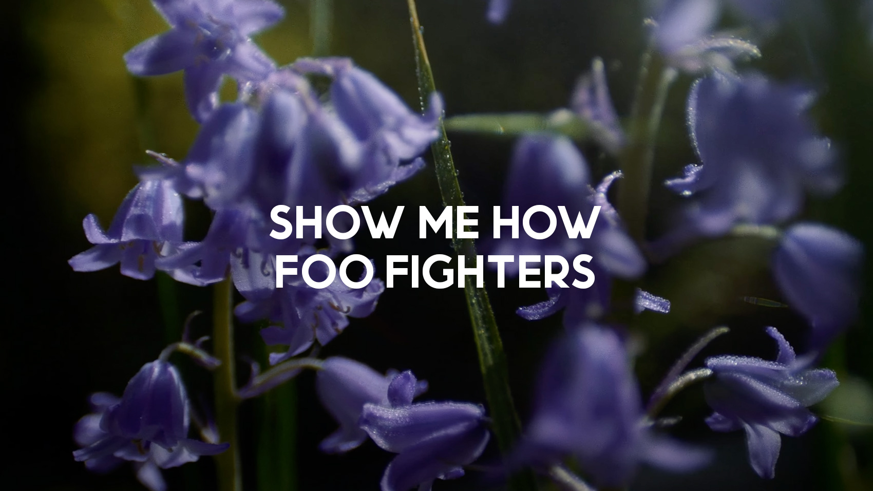 Foo Fighters Have A New Song Show Me How Featuring Dave Grohl s Foo fighters have a new song show me how featuring dave grohl s