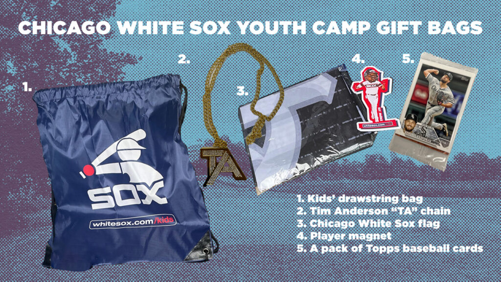 White Sox Gift bag