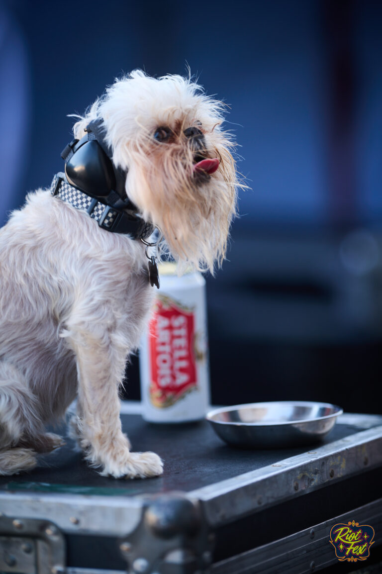 Dog on Sept. 20, 2024 at Riot Fest