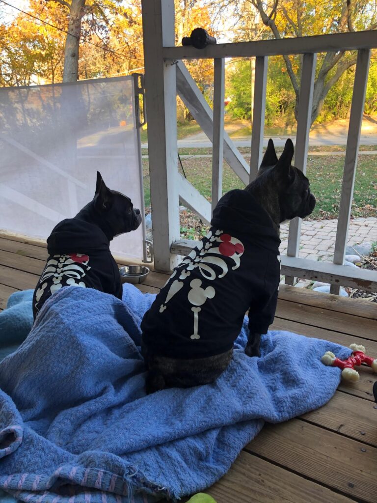 Coco and Chewie as skeletons