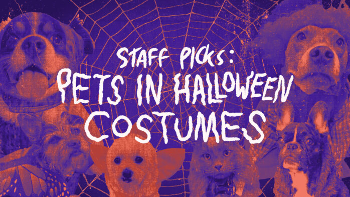 Staff Picks: Pets in Costumes