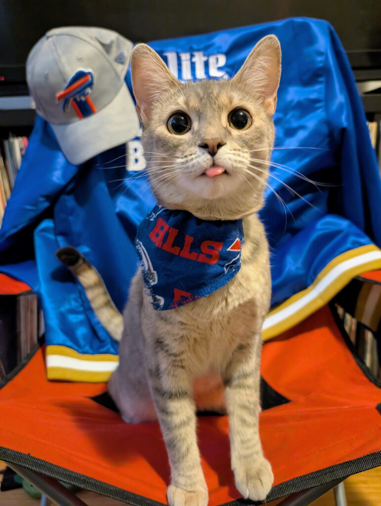 Imhotep supporting the Bills