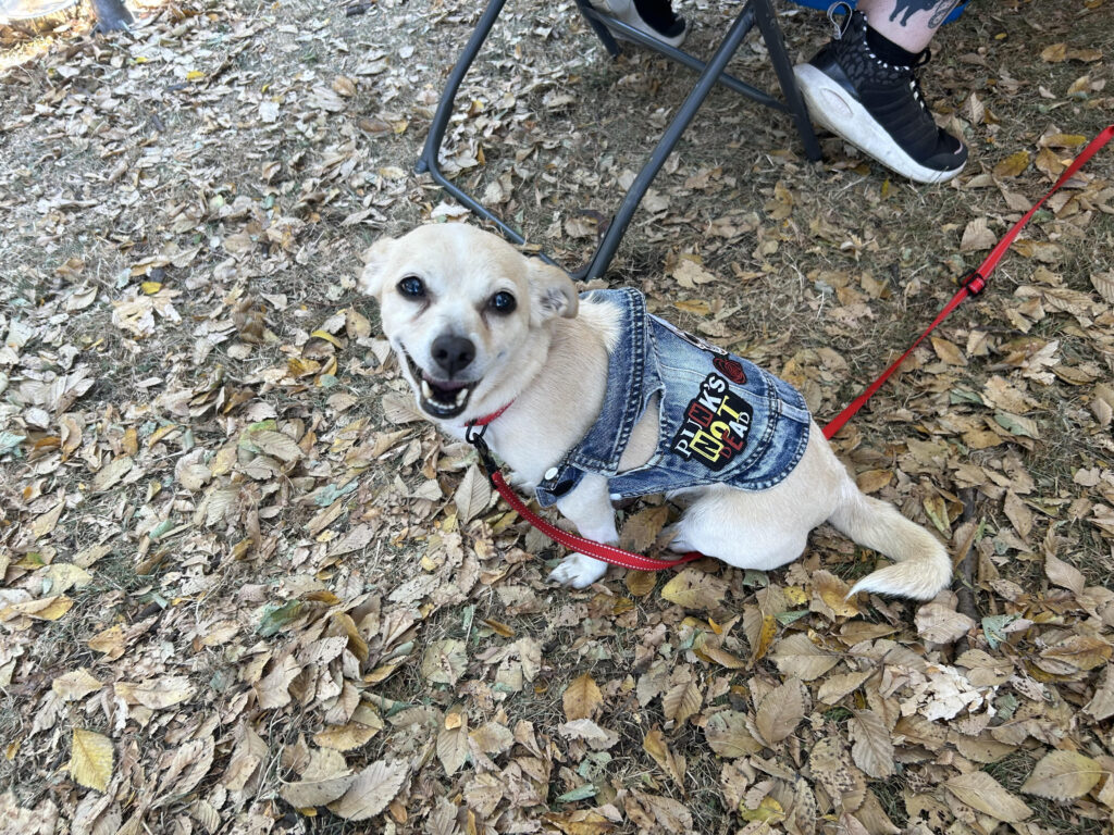 Peaches as a street punk