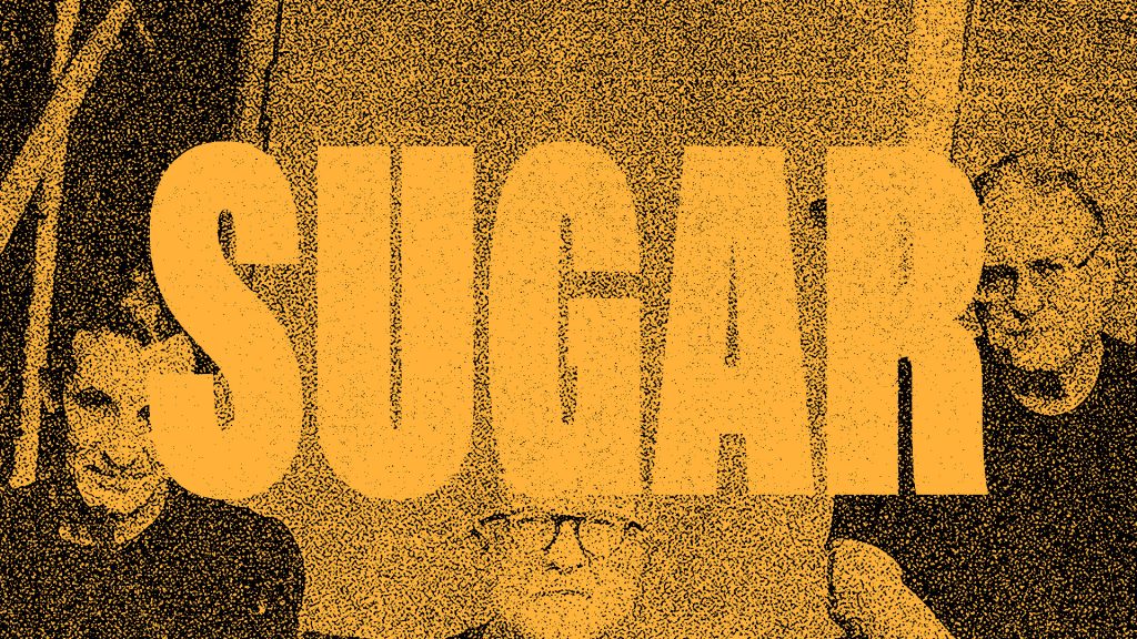 Sugar Is Giving This Gift To You