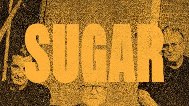 Sugar Is Giving This Gift To You
