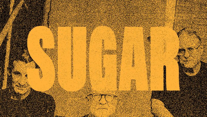 Sugar Is Giving This Gift To You